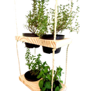 Jardim Vertical de Madeira de Pinus