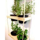 Jardim Vertical de Madeira de Pinus