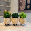 Trio de Vasos Cachepot Minimalista com Pezinho