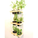 Jardim Vertical de Madeira de Pinus