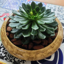 Vaso Cachepot de Cerâmica