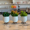 Trio de Vasos Cachepot Minimalista com Pezinho