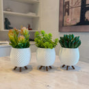 Trio de Vasos Cachepot Minimalista com Pezinho