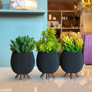 Trio de Vasos Cachepot Minimalista com Pezinho