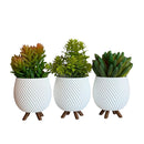 Trio de Vasos Cachepot Minimalista com Pezinho