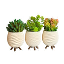 Trio de Vasos Cachepot Minimalista com Pezinho